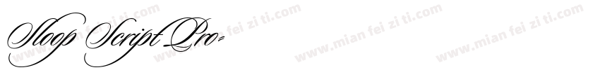 Sloop Script Pro字体转换